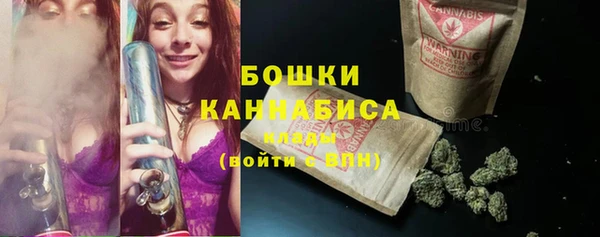 spice Горнозаводск