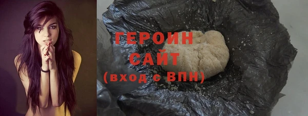 гидра Горно-Алтайск