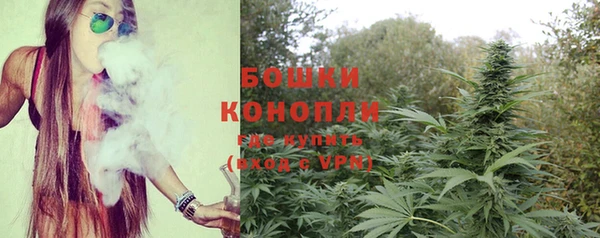 МДПВ Лиски