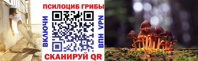 как найти наркотики  Гусь-Хрустальный  Галлюциногенные грибы мухоморы 