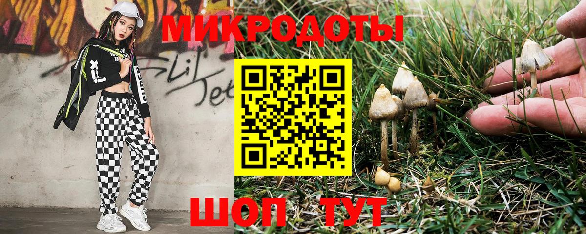Псилоцибиновые грибы Psilocybe Гусь-Хрустальный